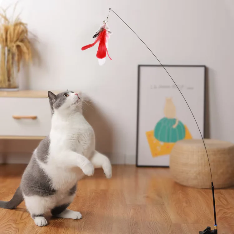 Elastic Suction Cup Cat Wand